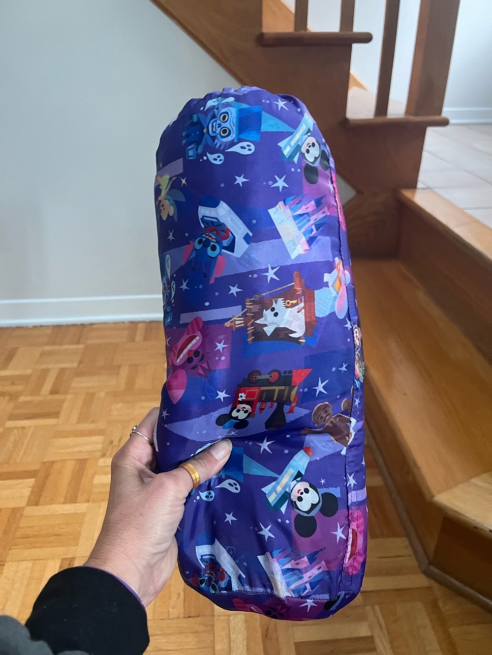 Disney Purple picnic trow